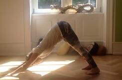 Hatha - Yoga